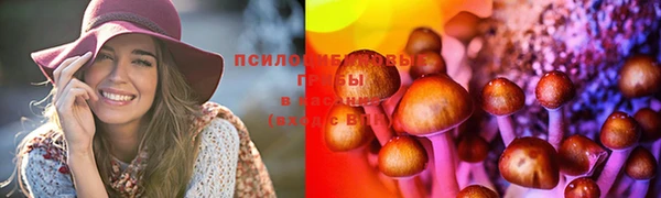 бутират Верея