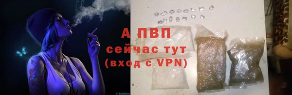 эйфоретик Сосновый Бор